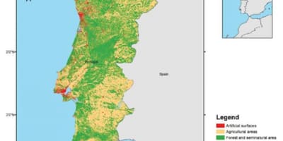 Mapa Portugalska lesy